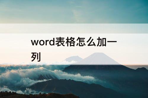 word表格怎么加一列