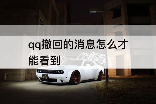 qq撤回的消息怎么才能看到