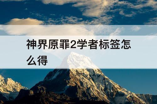 神界原罪2学者标签怎么得