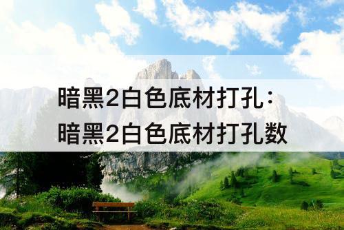 暗黑2白色底材打孔：暗黑2白色底材打孔数