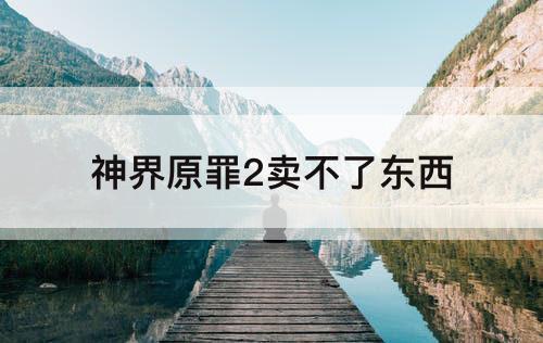 神界原罪2卖不了东西
