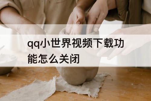 qq小世界视频下载功能怎么关闭