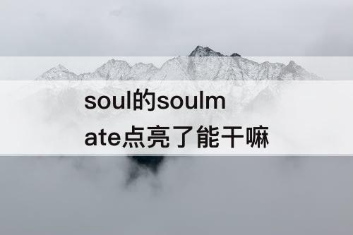 soul的soulmate点亮了能干嘛
