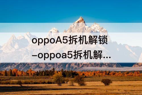 oppoA5拆机解锁-oppoa5拆机解锁教程
