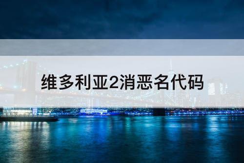 维多利亚2消恶名代码