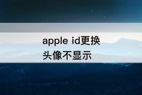 apple id更换头像不显示