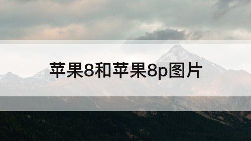 苹果8和苹果8p图片