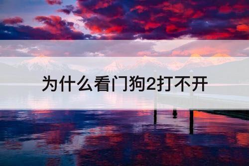 为什么看门狗2打不开
