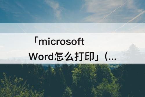 「microsoftWord怎么打印」(microsoftword怎么打印不了)