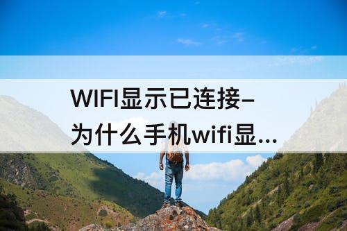 WIFI显示已连接-为什么手机wifi显示已连接不可上网