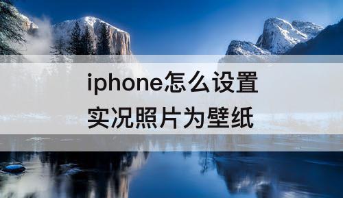 iphone怎么设置实况照片为壁纸