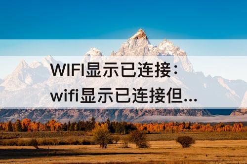 WIFI显示已连接：wifi显示已连接但无法上网怎么回事