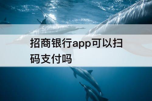 招商银行app可以扫码支付吗