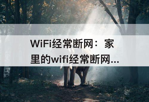WiFi经常断网：家里的wifi经常断网怎么回事