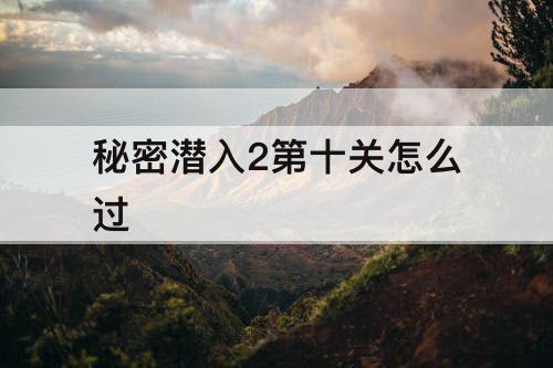 秘密潜入2第十关怎么过