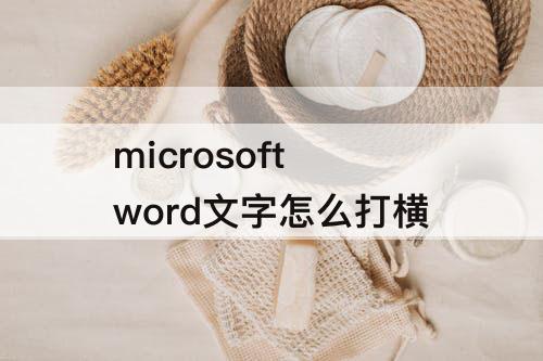 microsoft word文字怎么打横