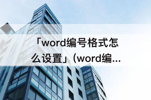 「word编号格式怎么设置」(word编号格式怎么设置2.1)