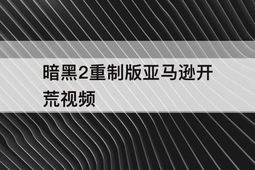 暗黑2重制版亚马逊开荒视频
