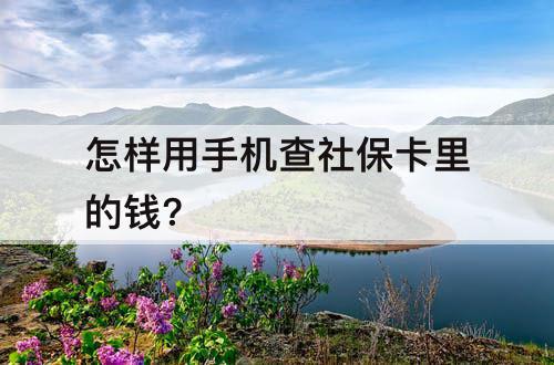 怎样用手机查社保卡里的钱?