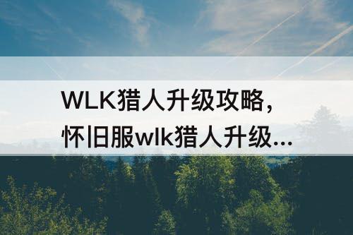 WLK猎人升级攻略，怀旧服wlk猎人升级攻略70-80