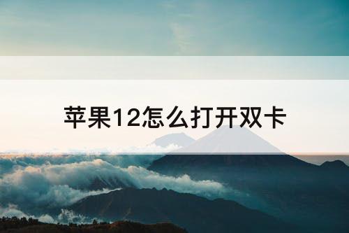 苹果12怎么打开双卡