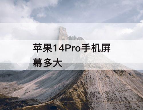 苹果14Pro手机屏幕多大