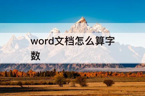 word文档怎么算字数