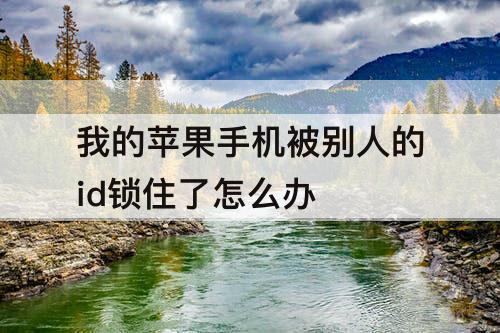 我的苹果手机被别人的id锁住了怎么办
