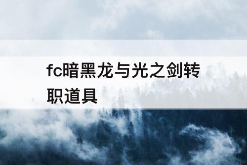 fc暗黑龙与光之剑转职道具