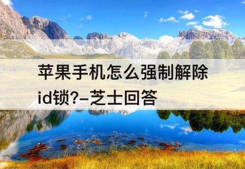 苹果手机怎么强制解除id锁?-芝士回答