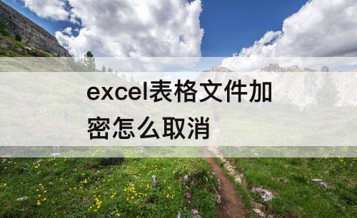 excel表格文件加密怎么取消