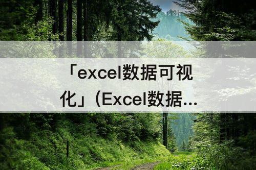 「excel数据可视化」(Excel数据可视化中的特殊图表有哪些?)
