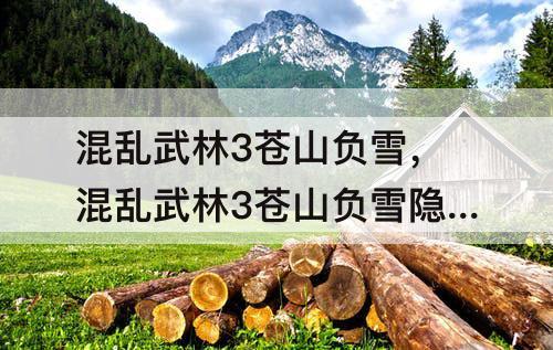 混乱武林3苍山负雪，混乱武林3苍山负雪隐藏英雄