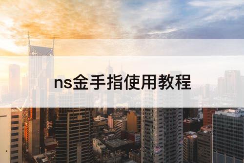 ns金手指使用教程