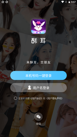 酥耳交友免费版  v1.0图1