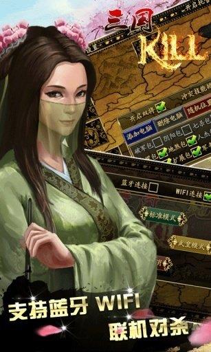 极略三国水墨美化版