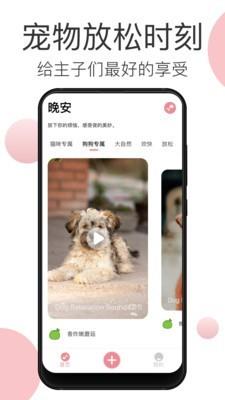 宠物音乐  v1.0.1图3