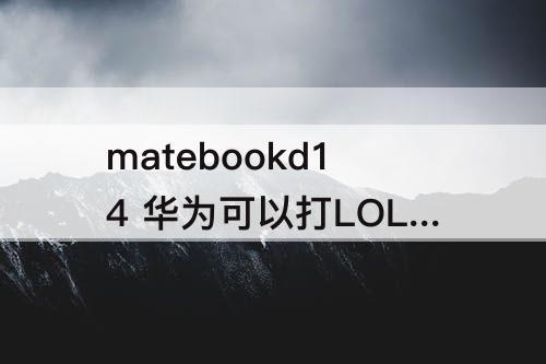 matebookd14 华为可以打LOL吗