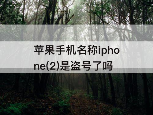 苹果手机名称iphone(2)是盗号了吗