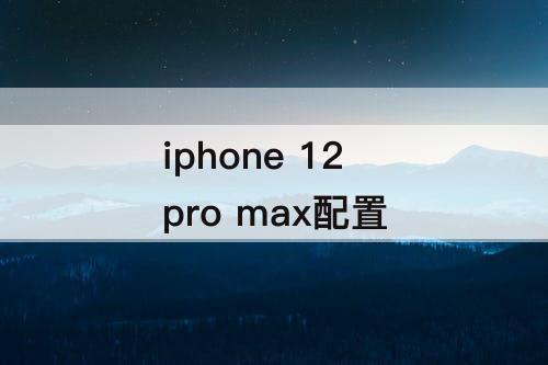 iphone 12 pro max配置