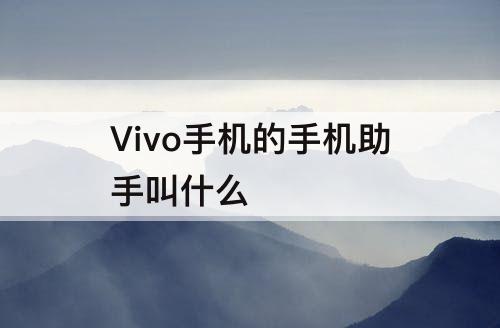 Vivo手机的手机助手叫什么