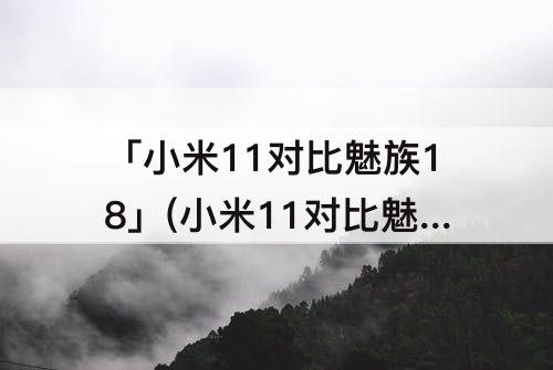 「小米11对比魅族18」(小米11对比魅族18spro)