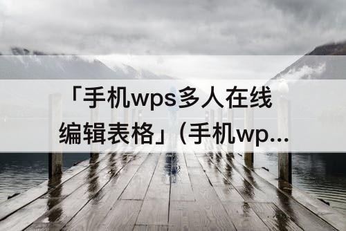 「手机wps多人在线编辑表格」(手机wps多人在线编辑表格历史)