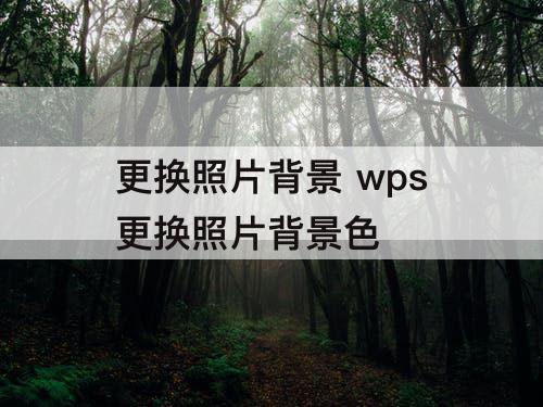 更换照片背景 wps更换照片背景色