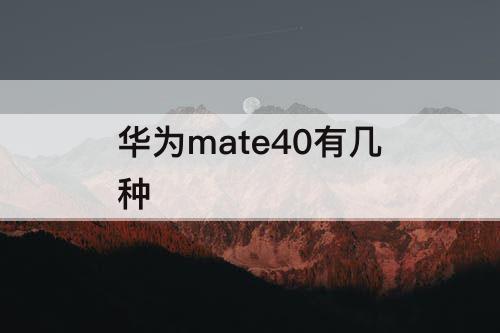 华为mate40有几种