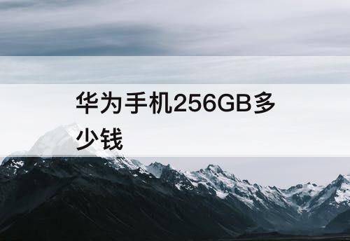 华为手机256GB多少钱