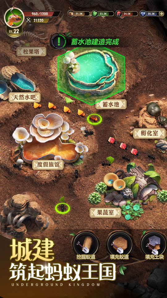 小小蚁国37手机版  v1.49.0图3