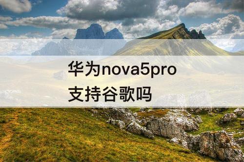 华为nova5pro支持谷歌吗