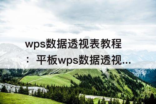 wps数据透视表教程：平板wps数据透视表教程